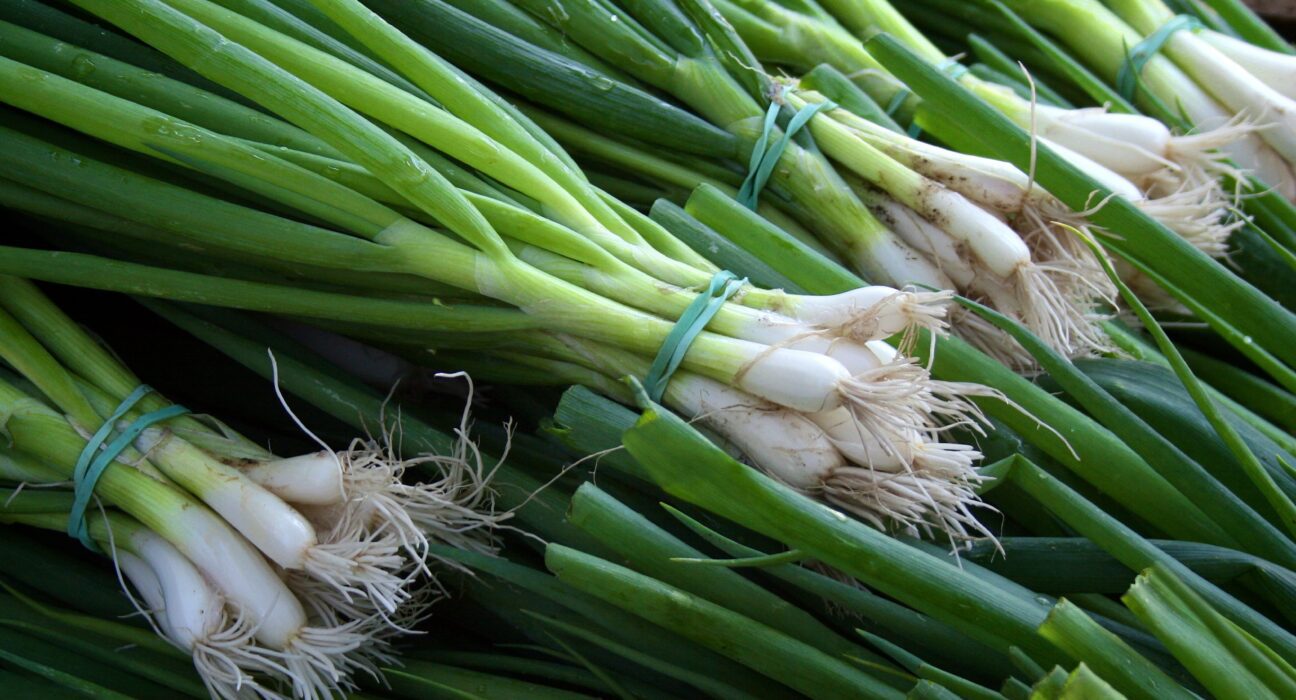 spring onions and scallions